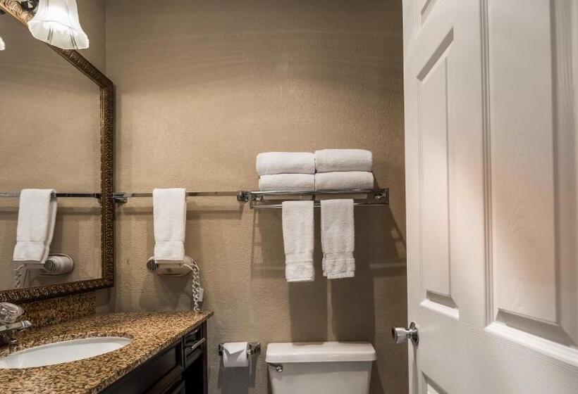 호텔 Best Western Salbasgeon Inn & Suites