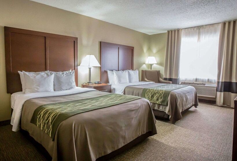 酒店 Comfort Inn Morris I80