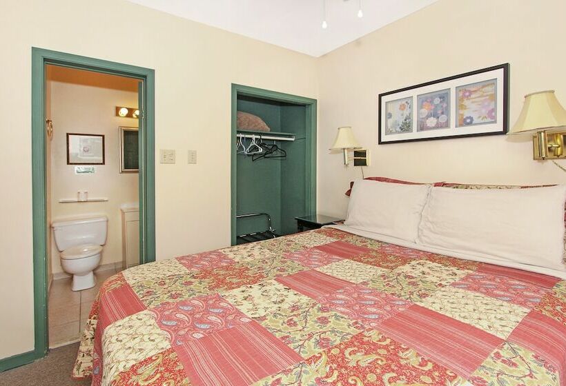 فندق Gower Guest House
