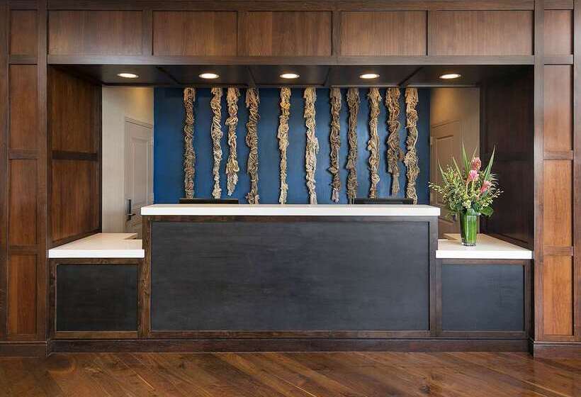 בית מלון כפרי Jamaica Bay Inn Marina Del Rey Tapestry Collection By Hilton