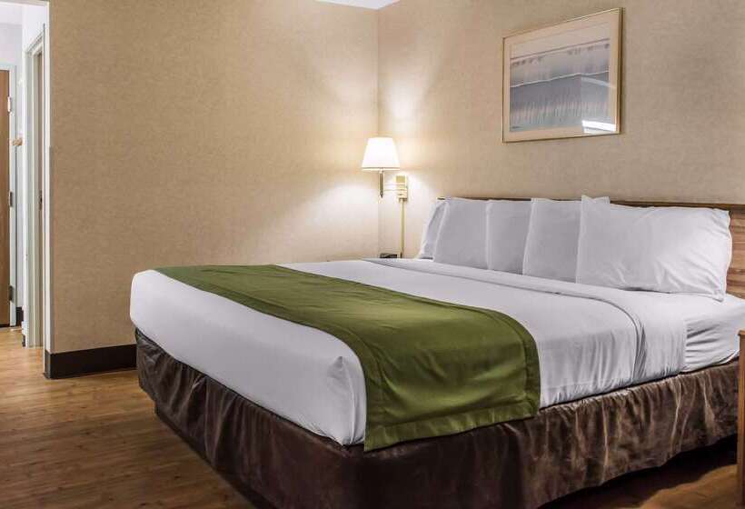 ホテル Quality Inn Arena
