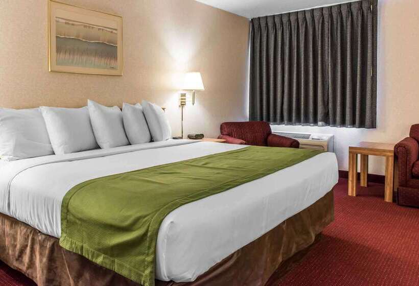 ホテル Quality Inn Arena