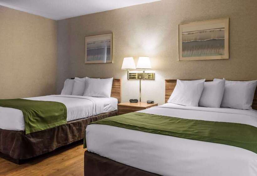 ホテル Quality Inn Arena