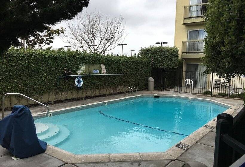 فندق Sand Dollar Inn
