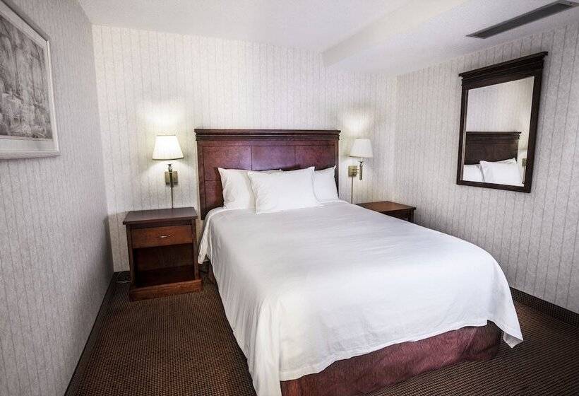 هتل Clifton Victoria Inn At The Falls
