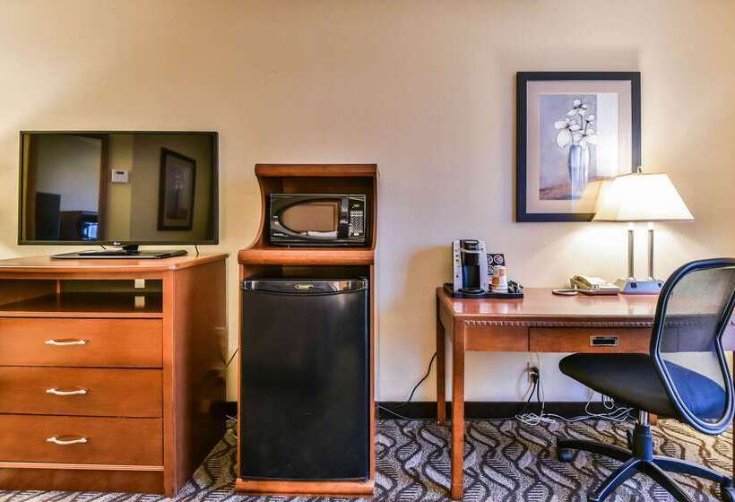 هتل Comfort Inn & Suites Ambassador Bridge