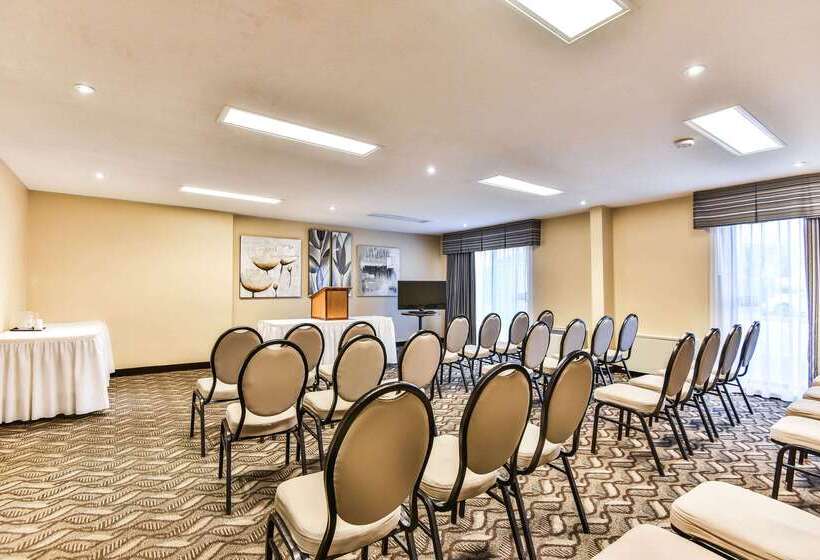 هتل Comfort Inn & Suites Ambassador Bridge
