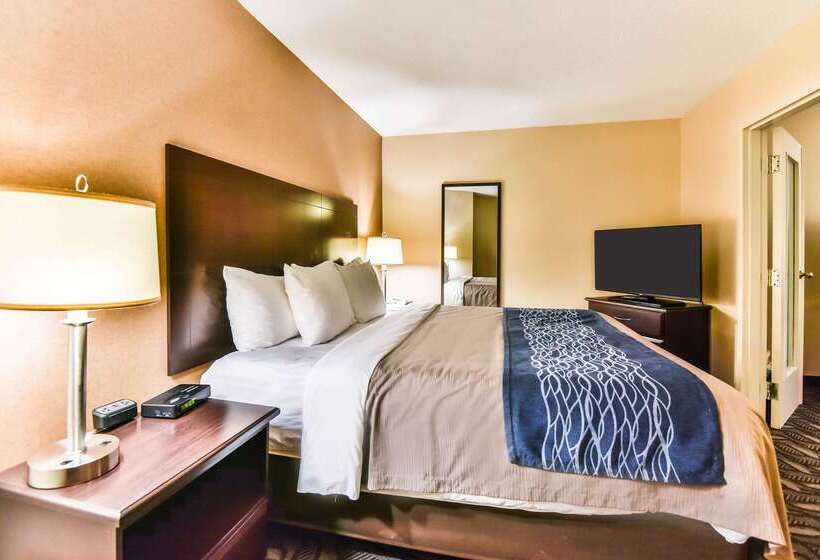 هتل Comfort Inn & Suites Ambassador Bridge