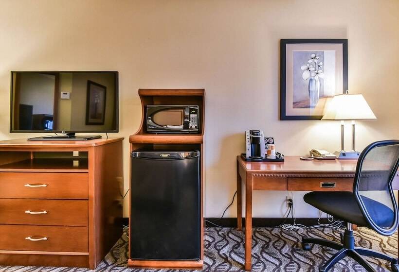 هتل Comfort Inn & Suites Ambassador Bridge