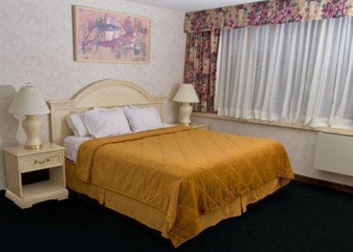 酒店 Comfort Inn Clifton Hill