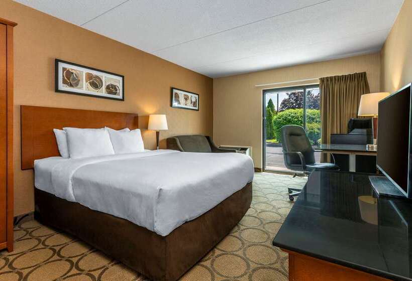 هتل Comfort Inn East