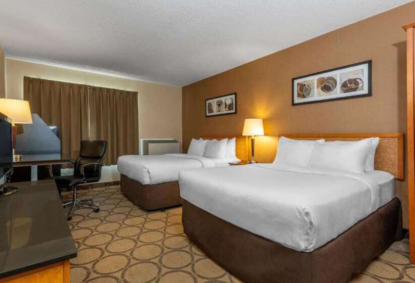 酒店 Comfort Inn