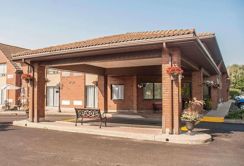 酒店 Comfort Inn