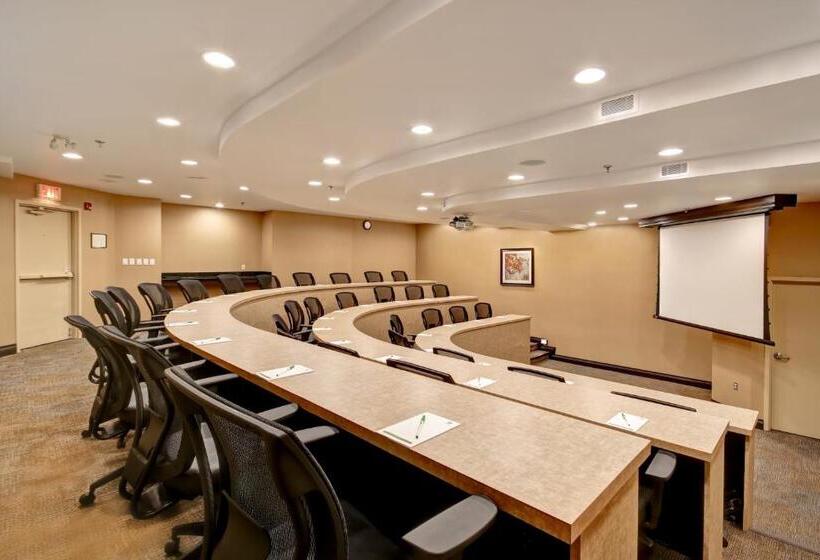 هتل Holiday Inn & Suites Windsor Ambassador Bridge By Ihg