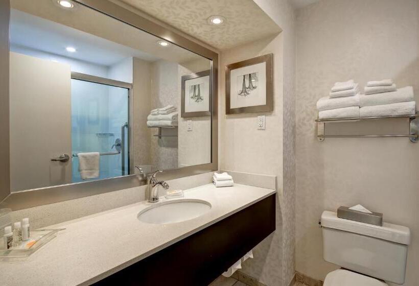 هتل Holiday Inn & Suites Windsor Ambassador Bridge By Ihg