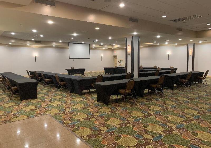 هتل Holiday Inn & Suites Windsor Ambassador Bridge By Ihg