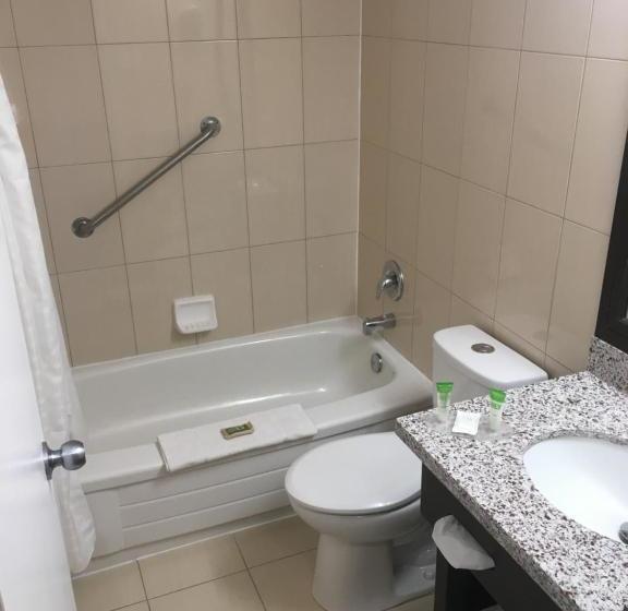 ホテル Mississauga Inn & Suites