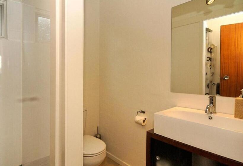 هتل Mt Albert Motor Lodge