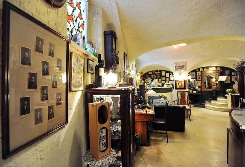 Отель Senator Ház