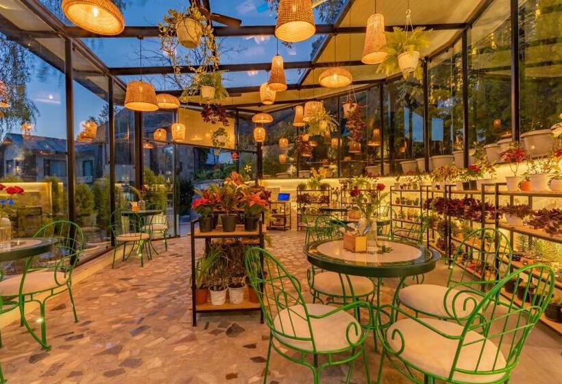 فندق Shervani Hilltop Resort