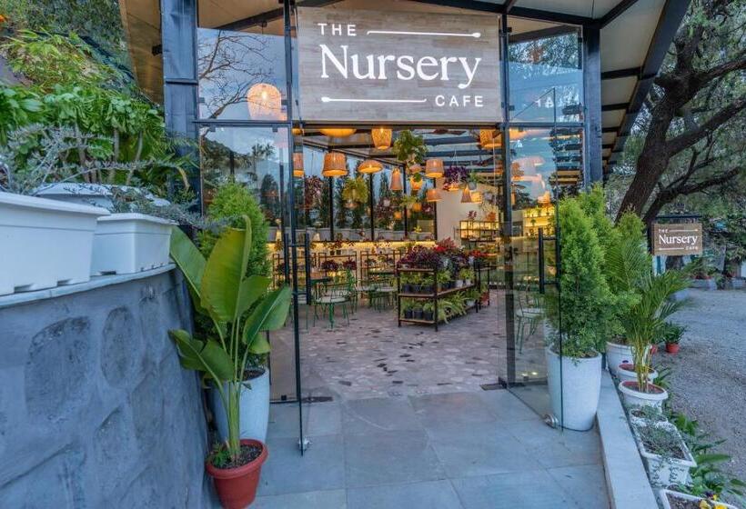 فندق Shervani Hilltop Resort