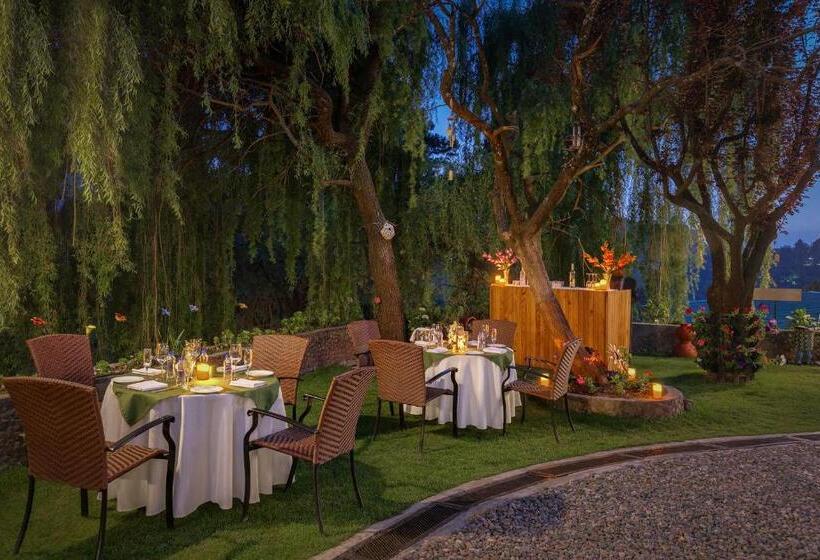 فندق Shervani Hilltop Resort