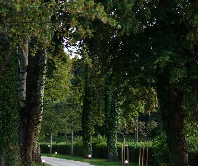 酒店 Château De Montcaud