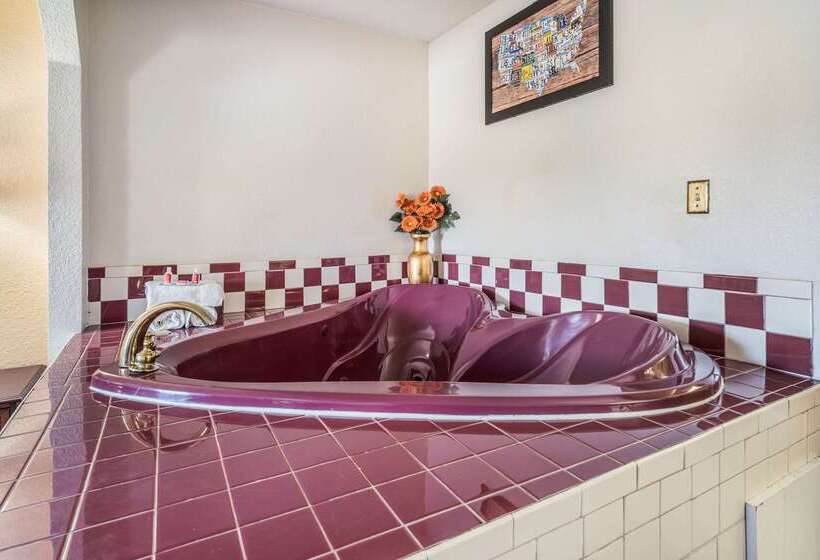 هتل Econo Lodge  Inn & Suites