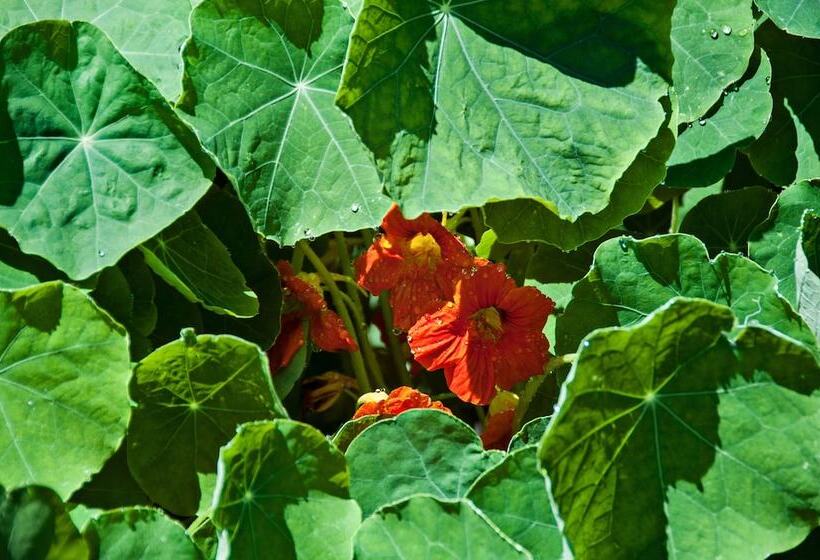 فندق The First Colony Inn