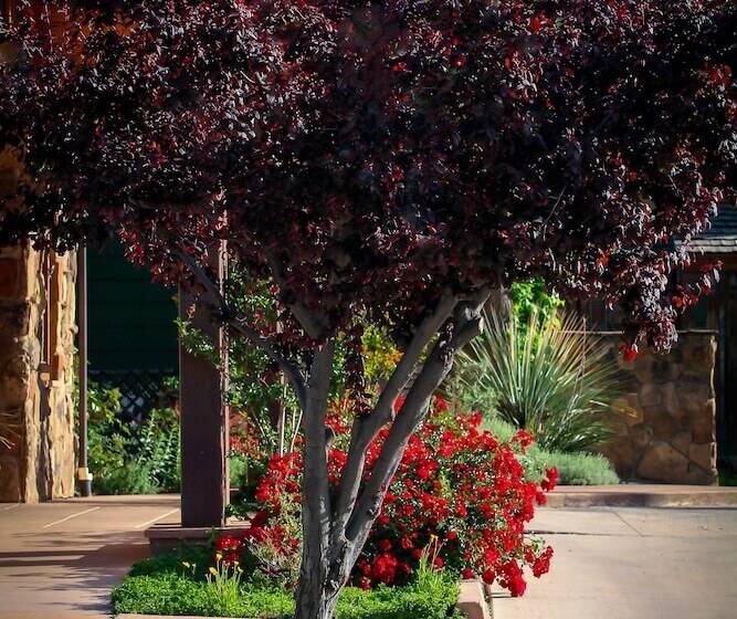 فندق Flanigan`s Resort And Spa