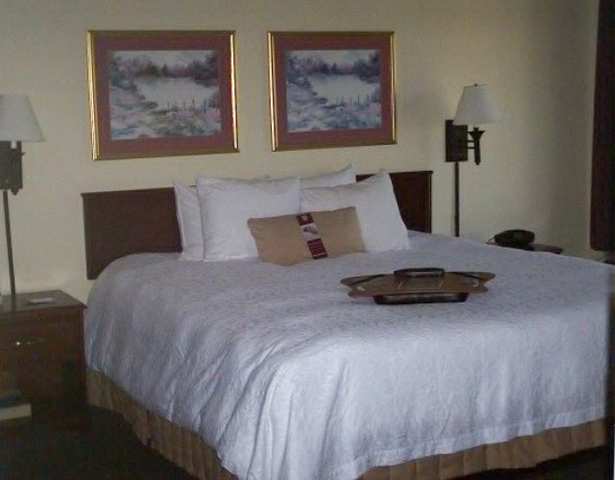 호텔 Wyndham Garden Greenville Airport