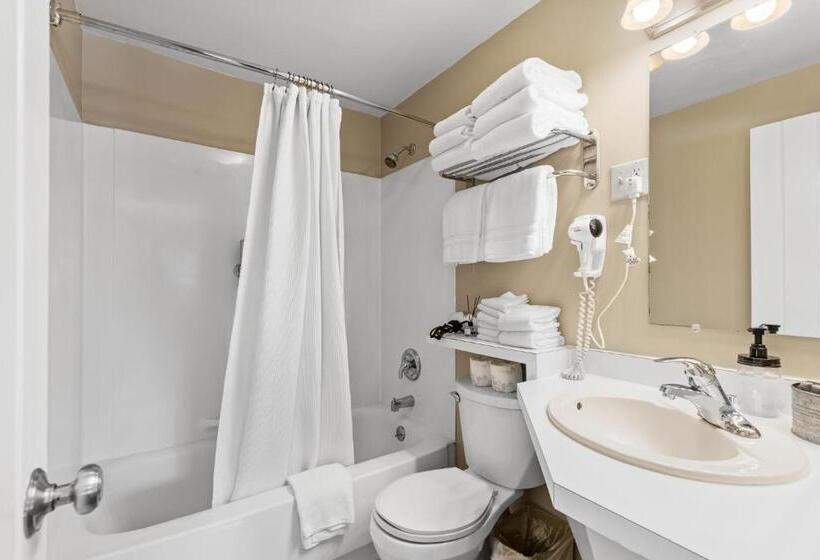 فندق على الطريق Lazy Duck Inn