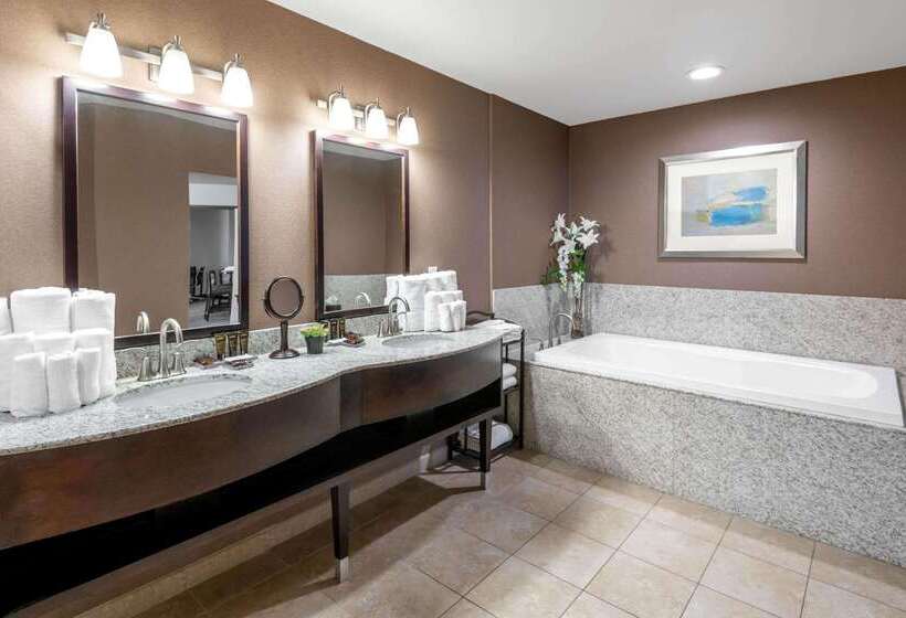 استراحتگاه Wingate By Wyndham St. George