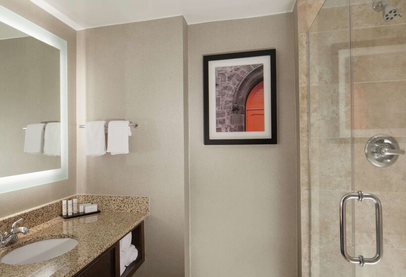 فندق Embassy Suites By Hilton Philadelphia Airport