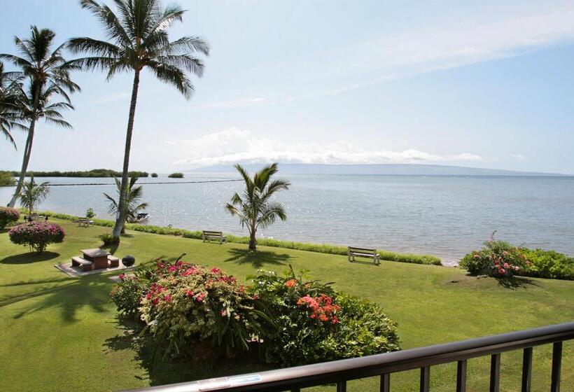 ホテル Molokai Shores