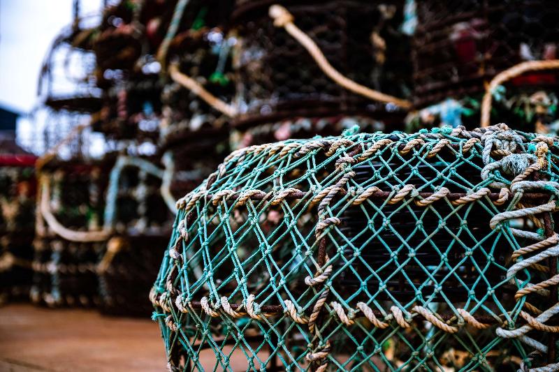 Apollo Bay Motel & Apartments, BW Signature Collection