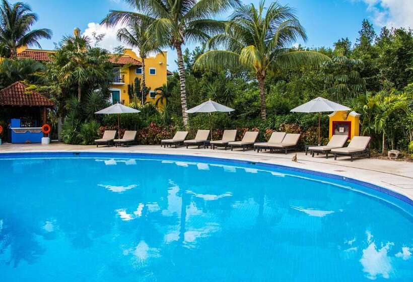 هتل Occidental Cozumel   All Inclusive