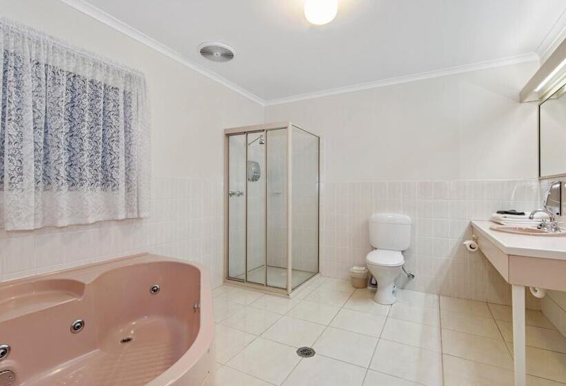 Отель Golden Square Motor Inn
