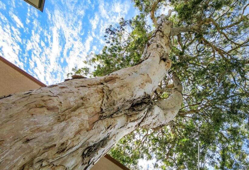 هتل Marlin Waters Beachfront Apartments