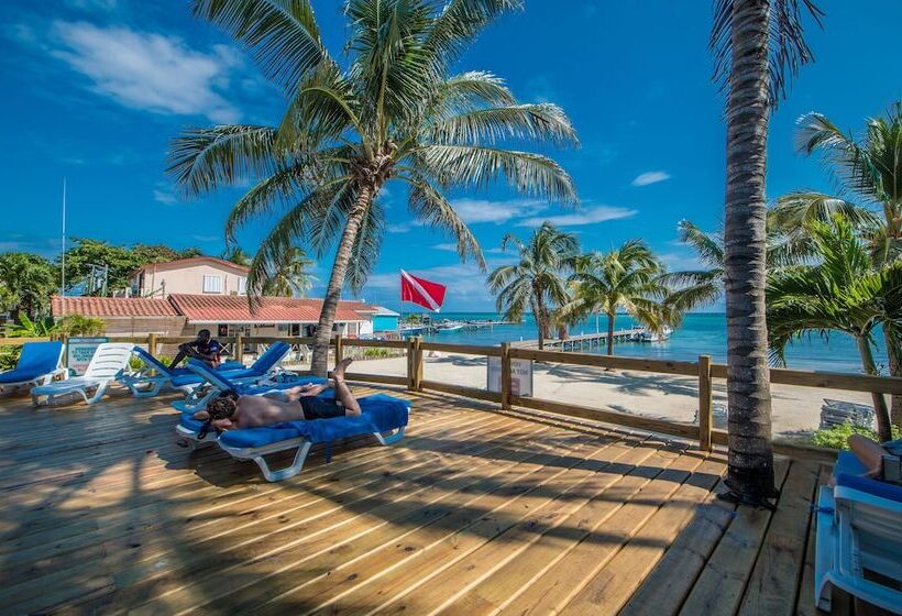 فندق Sunbreeze