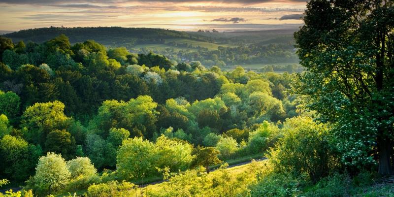 فندق Reigate Manor