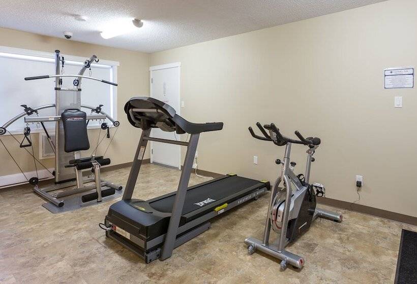 בית מלון כפרי Carmel Inn