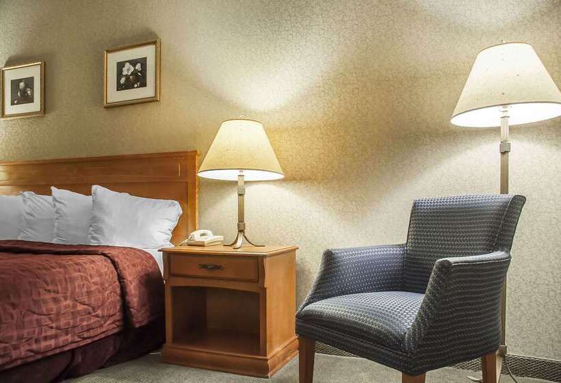 هتل Comfort Inn Lundy S Lane