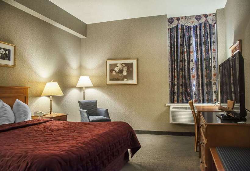 هتل Comfort Inn Lundy S Lane