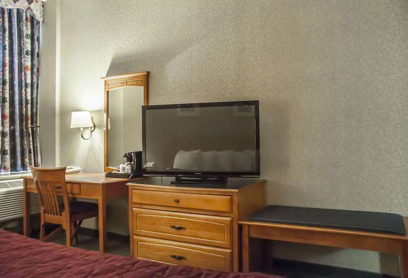 هتل Comfort Inn Lundy S Lane