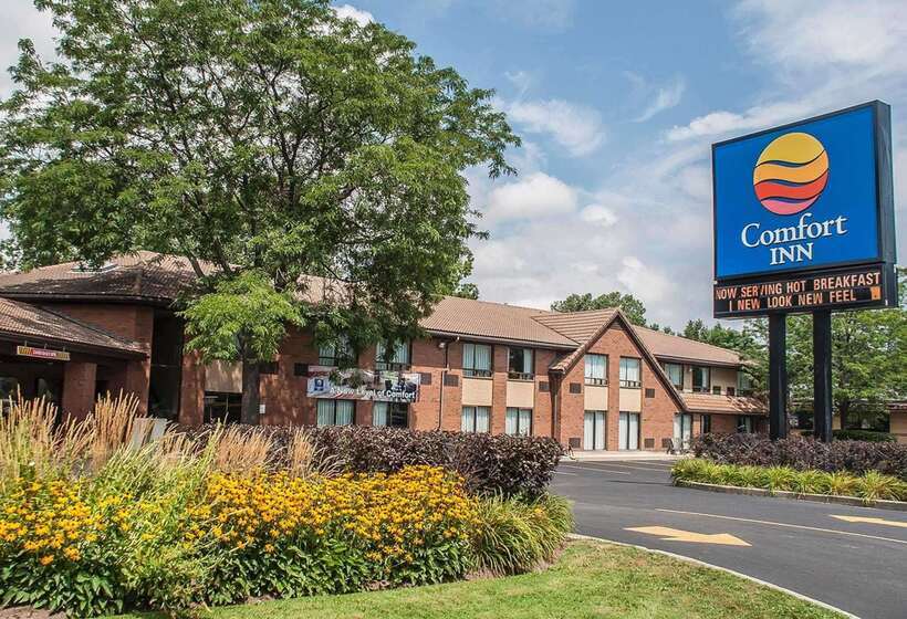 酒店 Comfort Inn
