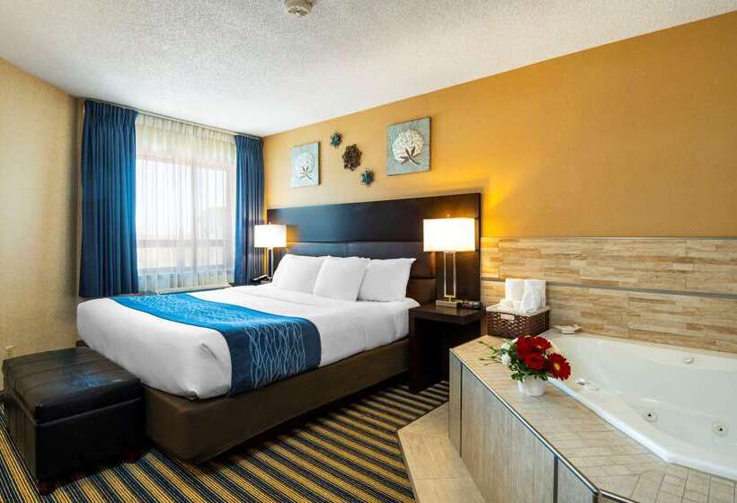 酒店 Comfort Inn