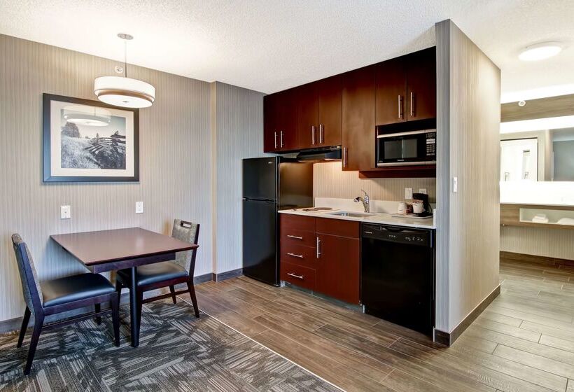 בית מלון כפרי Hampton Inn & Suites By Hilton Calgary Airport