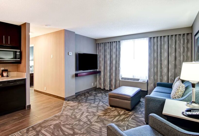 בית מלון כפרי Hampton Inn & Suites By Hilton Calgary Airport