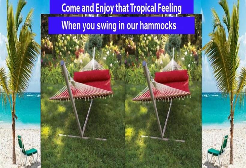 ホテル Rockwell Resort